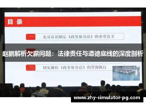 赵鹏解析欠薪问题：法律责任与道德底线的深度剖析